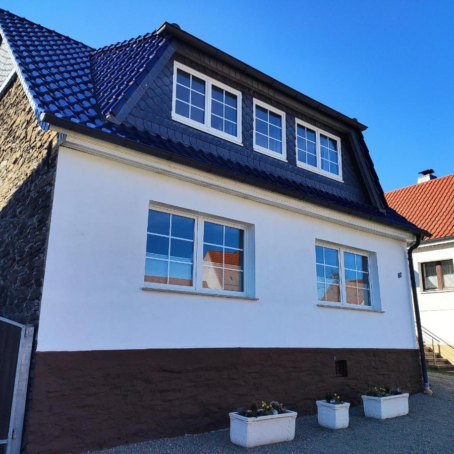 Ferienhaus Blaue Blume Mit 11 Kw Ladestation, Kamin, Terrasse, Eingezaeuntem Garten, Sauna, Wlan, Netflix, 2 Hunde Willkommen! Güntersberge المظهر الخارجي الصورة