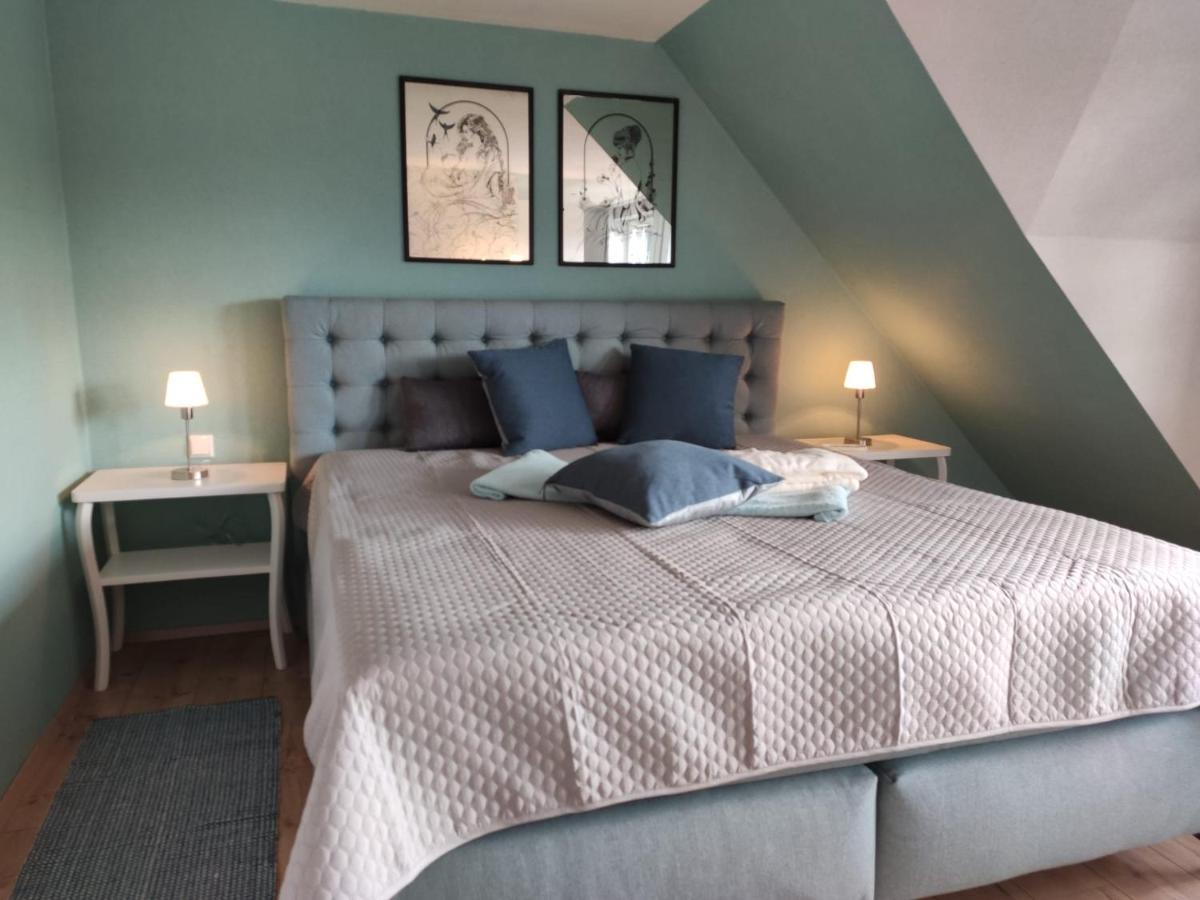 Ferienhaus Blaue Blume Mit 11 Kw Ladestation, Kamin, Terrasse, Eingezaeuntem Garten, Sauna, Wlan, Netflix, 2 Hunde Willkommen! Güntersberge المظهر الخارجي الصورة