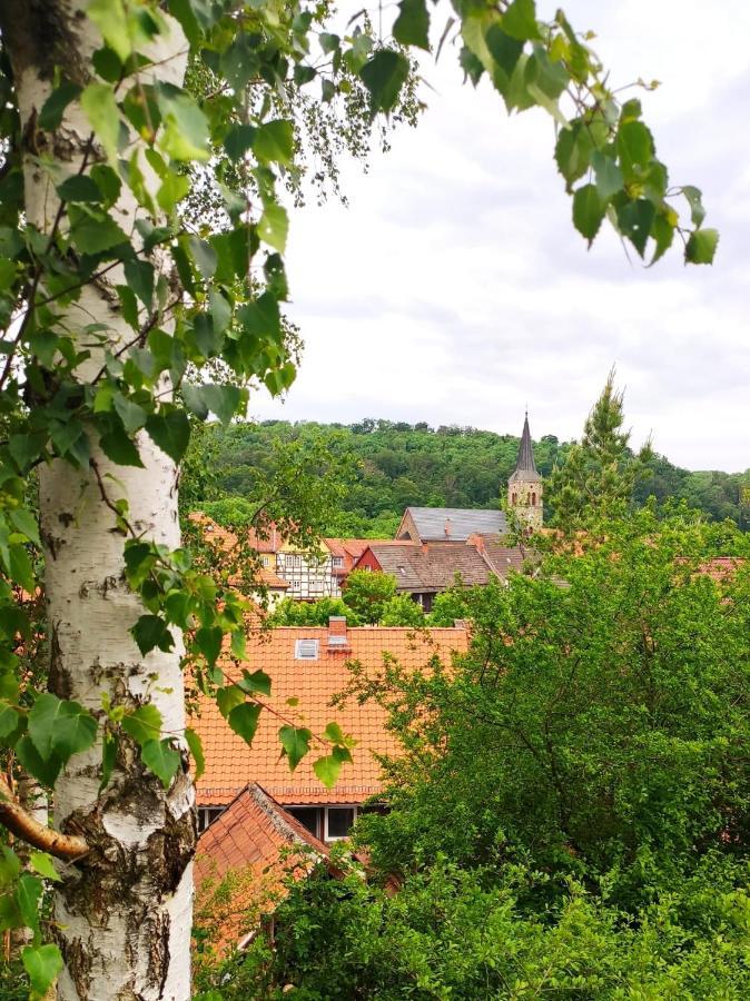 Ferienhaus Blaue Blume Mit 11 Kw Ladestation, Kamin, Terrasse, Eingezaeuntem Garten, Sauna, Wlan, Netflix, 2 Hunde Willkommen! Güntersberge المظهر الخارجي الصورة