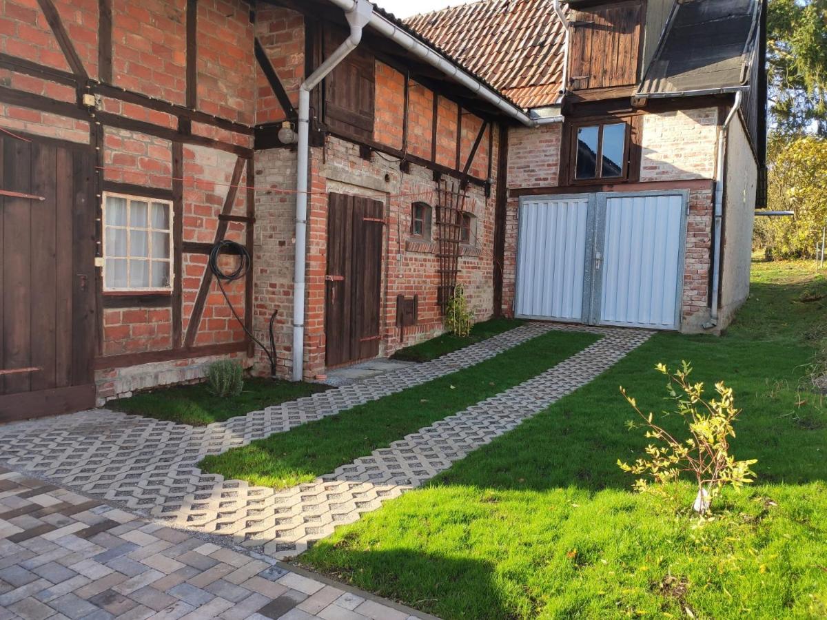 Ferienhaus Blaue Blume Mit 11 Kw Ladestation, Kamin, Terrasse, Eingezaeuntem Garten, Sauna, Wlan, Netflix, 2 Hunde Willkommen! Güntersberge المظهر الخارجي الصورة