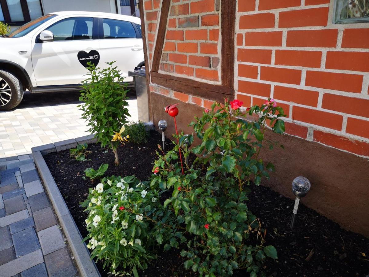 Ferienhaus Blaue Blume Mit 11 Kw Ladestation, Kamin, Terrasse, Eingezaeuntem Garten, Sauna, Wlan, Netflix, 2 Hunde Willkommen! Güntersberge المظهر الخارجي الصورة