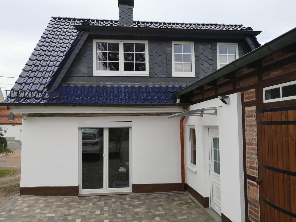 Ferienhaus Blaue Blume Mit 11 Kw Ladestation, Kamin, Terrasse, Eingezaeuntem Garten, Sauna, Wlan, Netflix, 2 Hunde Willkommen! Güntersberge المظهر الخارجي الصورة