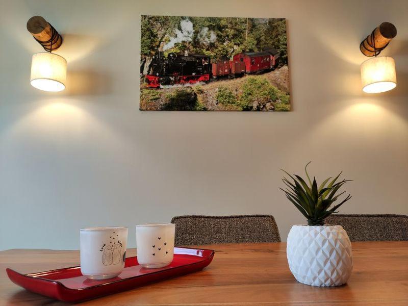 Ferienhaus Blaue Blume Mit 11 Kw Ladestation, Kamin, Terrasse, Eingezaeuntem Garten, Sauna, Wlan, Netflix, 2 Hunde Willkommen! Güntersberge المظهر الخارجي الصورة