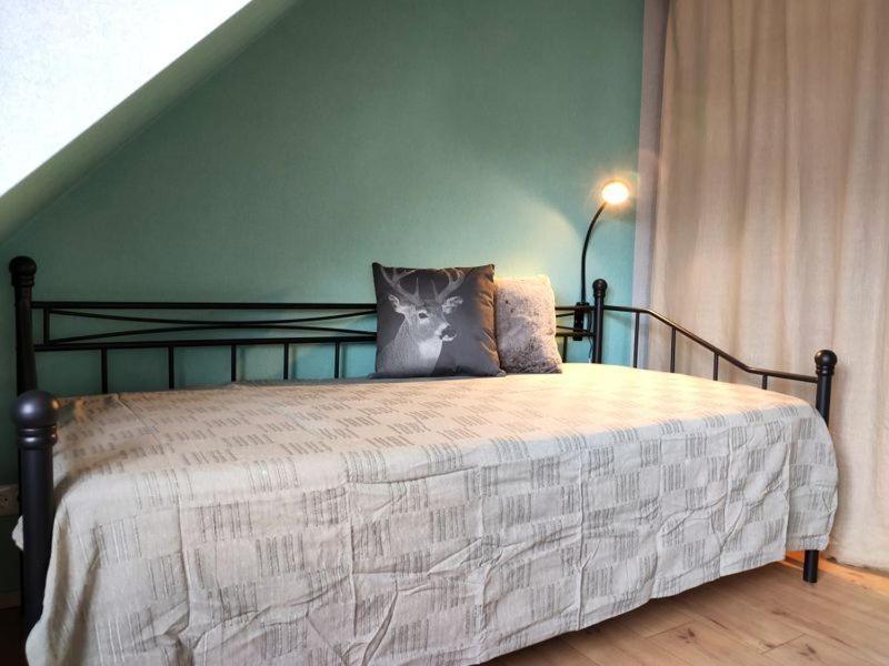 Ferienhaus Blaue Blume Mit 11 Kw Ladestation, Kamin, Terrasse, Eingezaeuntem Garten, Sauna, Wlan, Netflix, 2 Hunde Willkommen! Güntersberge المظهر الخارجي الصورة